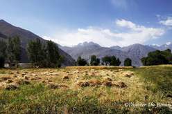 Ernte, Ratm Dorf, Wakhan Tal, Pamir, Tadschikistan
